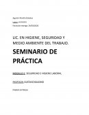 SEGURIDAD E HIGIENE LABORAL