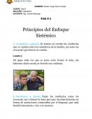 Principios del Enfoque Sistémico