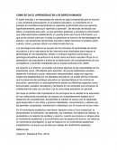 APRENDIZAJE EN EL SER HUMANO