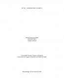 Proyecto Académico Pedagógico Solidario