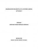 ORGANIZACIÓN DOCUMENTAL EN EL ENTORNO LABORAL