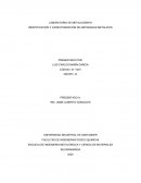 LABORATORIO DE METALOGRAFIA