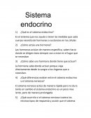 Sistema endocrino