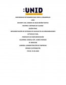 IMPLEMENTACIÓN DE SISTEMAS DE CALIDAD EN LAS ORGANIZACIONES