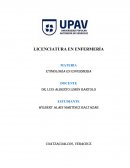 Etimología en enfermeria