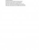 Notas Auditoria Financiera