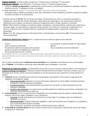 Derecho laboral. Resumen Derecho B – Primer Parcial