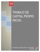 Analisis CAPITAL PROPIO INICIAL