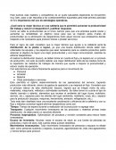 Actividad Importancia del uso de estrategias operativas. Caso cafetería