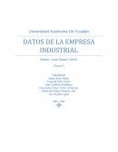 DATOS DE LA EMPRESA INDUSTRIAL