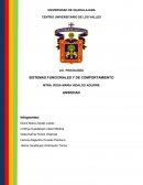 SISTEMAS FUNCIONALES Y DE COMPORTAMIENTO