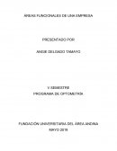 ÁREAS FUNCIONALES DE UNA EMPRESA