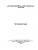 PROYECTO SIEMBRA DE TOMATE EN INVERNADERO