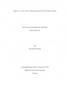 Modelos de investigación evaluación final