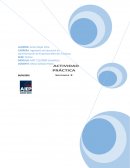 Actividad práctica Ingeniería de ejecución en administración de empresas Mención finanzas