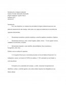 Inducción a la higiene industrial tarea 1