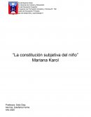 La Constitución subjetiva del niño