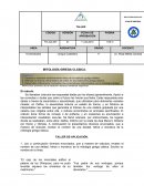 MITOLOGÍA GRIEGA CLÁSICA.