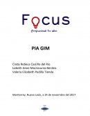 Idea de negocio en marketing. PIA GIM