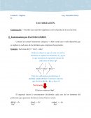 Guía de factorizacion