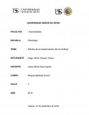 Efectos de la contaminación del río Quillcay