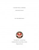 DESCUBRIENDO EL ENSAYO Y SU IMPORTANCIA