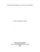 PROGRAMACIÓN INFORMÁTICA EN LAS ESCUELAS COLOMBIANAS