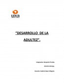 Desarrollo de la adultez