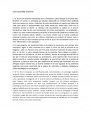 CASO HELLMANN SCIENTIFIC