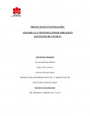 VIOLENCIA INTRAFAMILIAR Y COVID