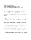 ¿Qué va a hacer para obtener el feedback del cliente?