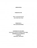 CIBERSOCIEDAD TALLER