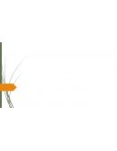 Pedagogía: Etimología, consideraciones históricas, proceso de desarrollo como conocimiento científico