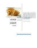 Estudio de mercado VERDE SABOR