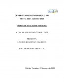 ENSAYO DE LA REFLEXIÓN NATURAL A LA SISTEMICA