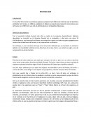 Ensayo Gabriela Hernández y Motores Senzei