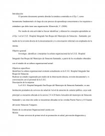 TIPIFICACION DE LA CULTURA ORGANIZACIONAL. Página 1