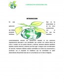 EVALUACIÓN DE CALIDAD DE FUNCIONAMIENTO DE LOS CONTROLES INTERNOS