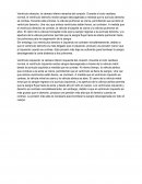 Ventrículos derecho e izquierdo