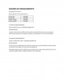 RAZONES DE ENDEUDAMINETO Compañía El Sol SA de CV