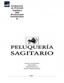 Informe Final Organización de Procedimientos Administrativos