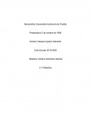 Practica de circuitos electricos