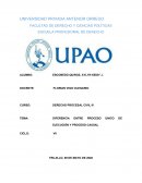 DIFERENCIA ENTRE PROCESO UNICO DE EJECUCIÓN Y PROCESO CAUSAL