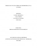 PROPUESTA DE UN PLAN DE CARRERA PARA DISTRIBUIDORA LAP S.A.S