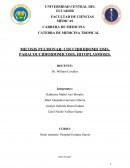 MICOSIS PULMONAR: COCCIDIOIDOMICOSIS, PARACOCCIDIOIDOMICOSIS, HITOPLASMOSIS