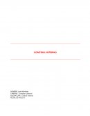 Control Interno, falta de control en una organización