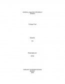 Auditoria y seguridad informática ll Unión Eléctrica S.A