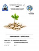 PLANIFICACION DEL EXAMEN ESPECIAL DE LA EMPRESA CORPORACION AGROENZIMAS E.I.R.L.