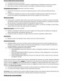 Resumen 2do Parcial Derecho Privado 1