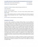 EVALUACIÓN ESTRATEGIAS DE TRABAJO PARA NIÑOS CON NECESIDADES EDUCATIVAS ESPECIALES